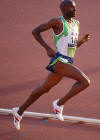 Bernard Lagat (usa)